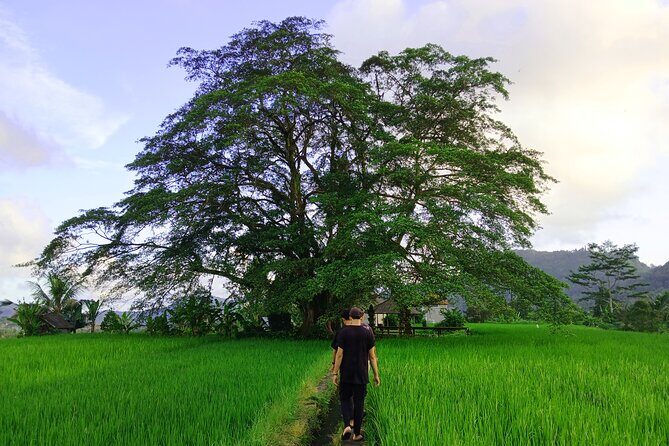 Sidemen Trekking with Cultural Encounters and Nature Views - Key Highlights You’ll Want to Plan For