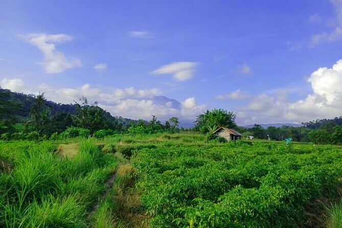 Sidemen Trekking with Cultural Encounters and Nature Views - What the Walking Feels Like (and How to Prepare)