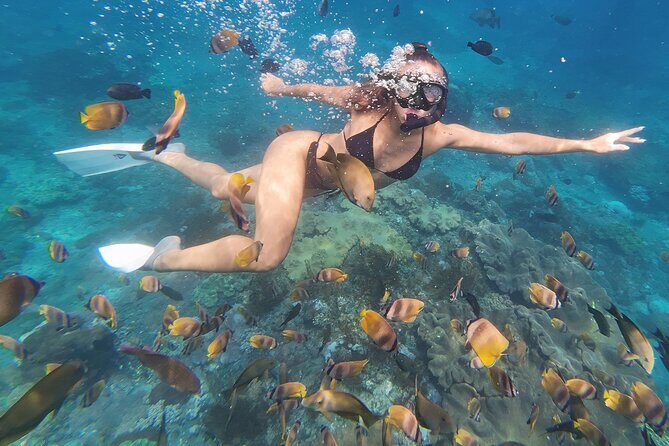 Snorkeling 4 Spot With Manta Bay Or Optional Land Trip - Nusa Penida in Two Hours: Why This Snorkel Plan Works