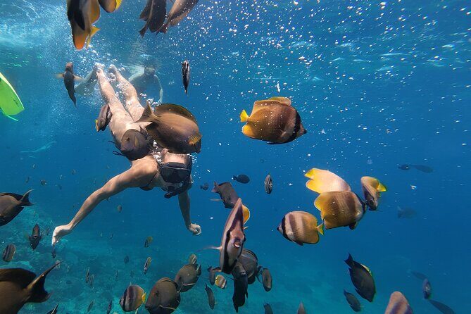 Snorkeling 4 Spot With Manta Bay Or Optional Land Trip - Wall Point: A Serene Stop That Breaks Up the Pace