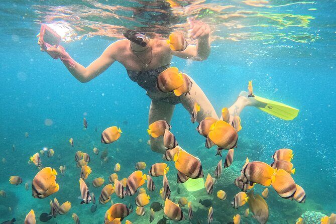 Snorkeling 4 Spot With Manta Bay Or Optional Land Trip - Snorkeling Gear and GoPro Support: What You Should Expect