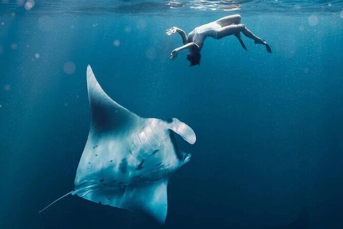Snorkeling 4 Spots, Manta Rays, Tembeling Pool & Kelingking Beach - Price and Value: What $54.98 Buys You (and What It Doesn’t)