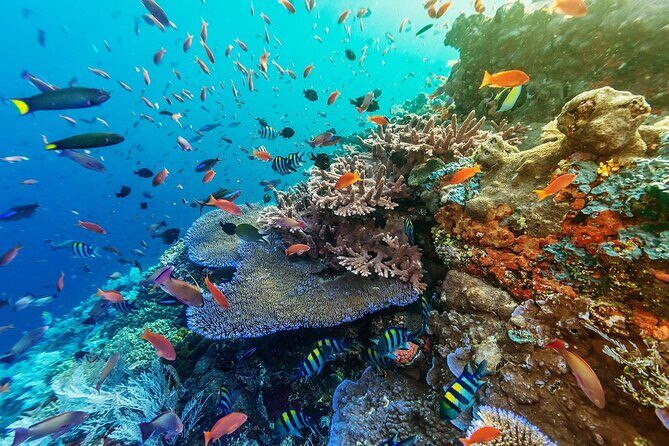 Snorkeling Adventure with East Nusa Penida Tour All Inclusive - From Jimbaran to Sanur: the 6:30 departure rhythm