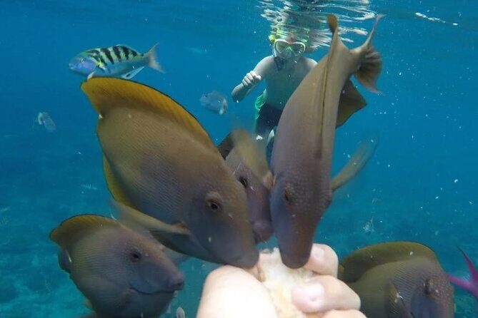 Snorkeling Adventure with East Nusa Penida Tour All Inclusive - Crystal Bay time on the clock: what it’s like when you’re actually there