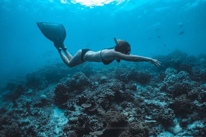 Snorkeling and Freediving Trip around Nusa Penida - Meeting at Freedive Nusa: Gear, Briefing, and Safety First