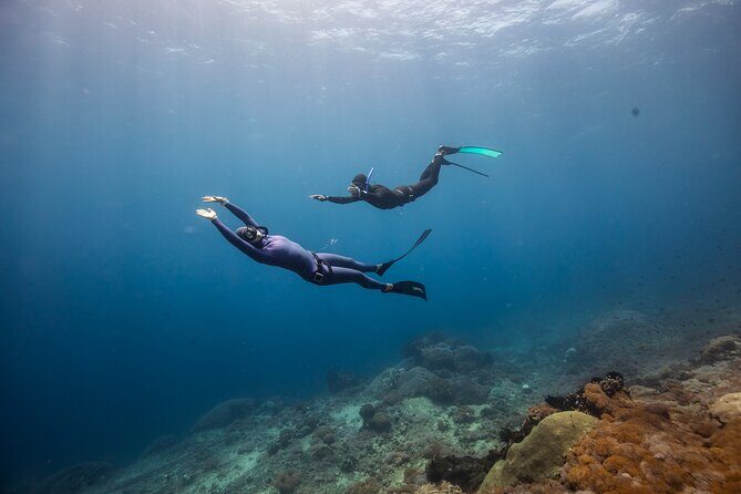 Snorkeling and Freediving Trip around Nusa Penida - Spot 2: Toyapakeh Wall for Color, Fish, and Coral Texture