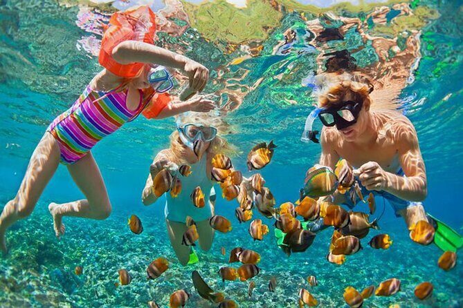 Snorkeling at Blue Lagoon Bali with Lunch and Transport - Blue Lagoon near Padangbai: why this spot is a must-try in east Bali