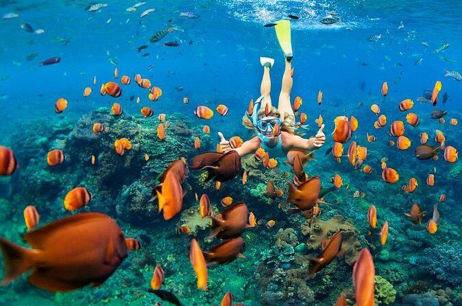 Snorkeling at Blue Lagoon Bali with Lunch and Transport - Boat transfers and sea conditions: the part of the day you should plan for