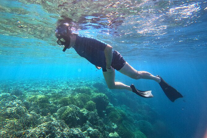 Snorkeling at Menjangan Island Bali Hidden Underwater Gem - Key highlights you’ll care about