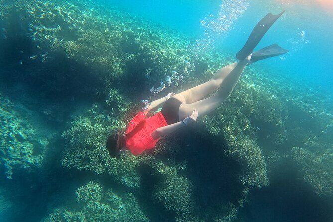 Snorkeling at Menjangan Island Bali Hidden Underwater Gem - The 4.5-Hour Rhythm: From 09:00 Pickup to Lunch on Menjangan