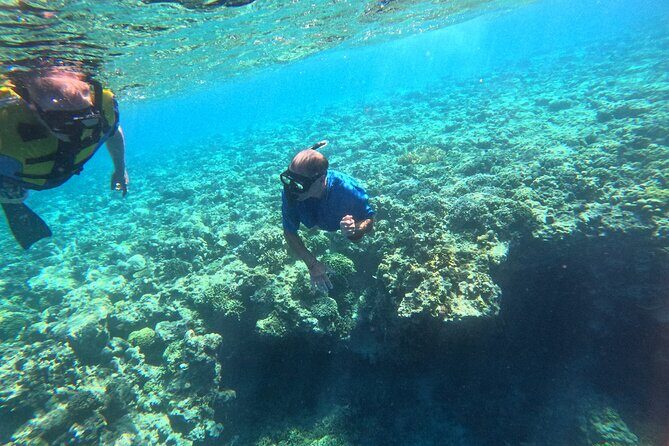 Snorkeling at Menjangan Island Bali Hidden Underwater Gem - Price and Booking Timing: When $48 Feels Like a Win