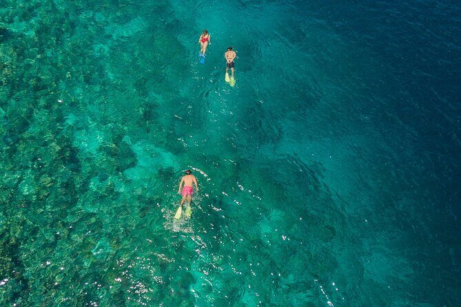 Snorkeling in Menjangan Island with Pickup and Lunch - Menjangan Island: why this part of Bali is made for snorkeling