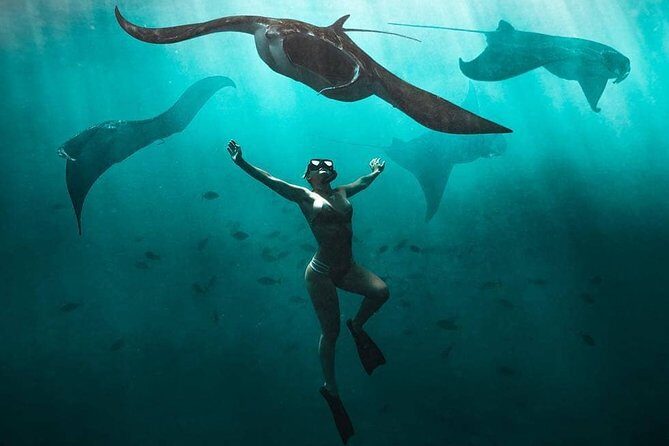Snorkeling Manta Ray Safari in Nusa Penida - Key things to know before you go (manta safari style)