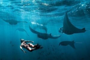 Snorkeling Manta Ray Safari in Nusa Penida - The boat and group size reality: capped at 15, but conditions can change