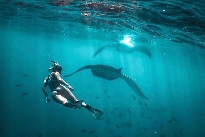 Snorkeling Manta Ray Safari in Nusa Penida - Comfort and safety: cold water and crowded moments