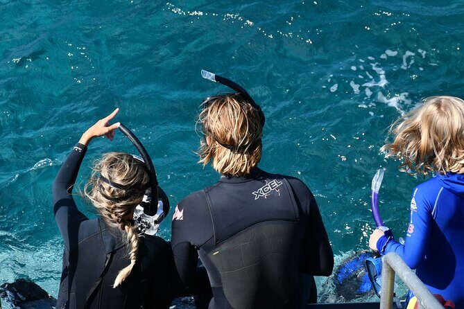 Snorkeling Manta Rays, Land Tour Tembeling Pool & Kelingking - Price and Value: Why This Costs $18.35 (and Where It Shows)