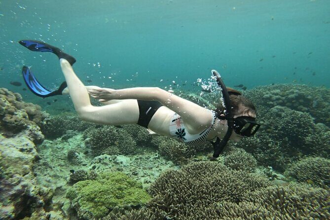 Snorkeling Trips with Manta Ray from Nusa Lembongan - Stop 1: The Manta Bay swim and the swell reality check
