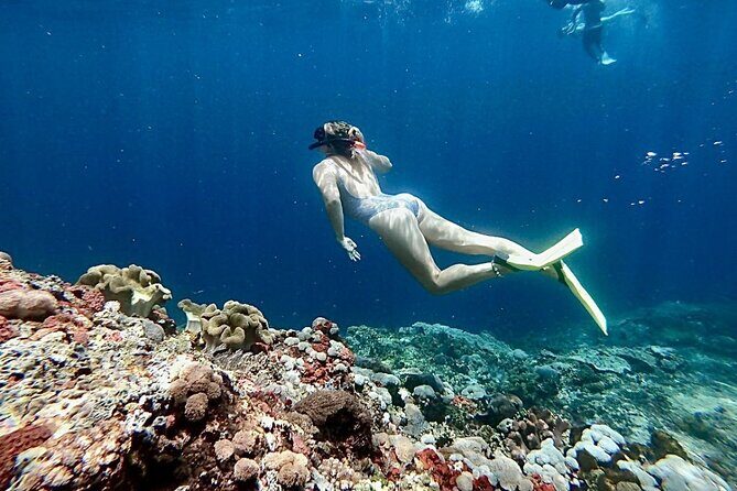 Snorkeling Trips with Manta Ray from Nusa Lembongan - Manta-ray expectations: the honest odds and how to stay happy anyway
