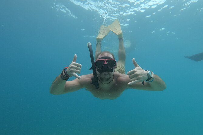 Snorkeling with turtle and statue in Gilis - The Core Experience: Statues, Coral, and the Turtle Zone