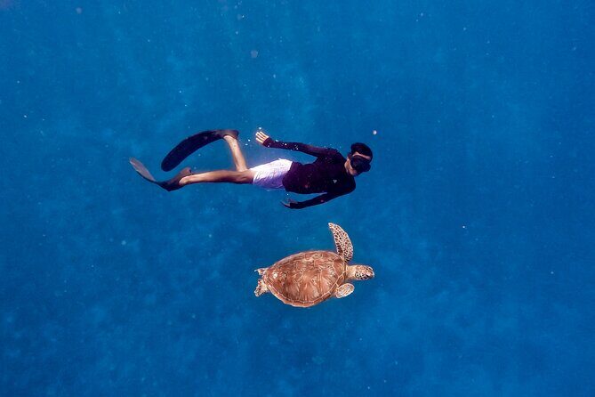 Snorkeling with turtle and statue in Gilis - Small Group Size: The Comfort Factor in the Water