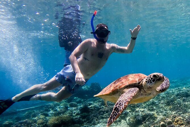 Snorkeling with turtle and statue in Gilis - Price ($55) and What You’re Really Getting for It