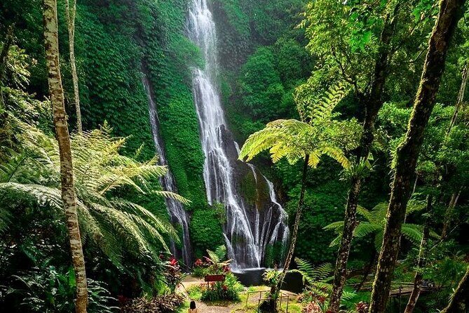 Tanah Lot and North Bali Tour: Scenic Journey - Jatiluwih Green Land and Rice Terraces: UNESCO Views with Lunch Included