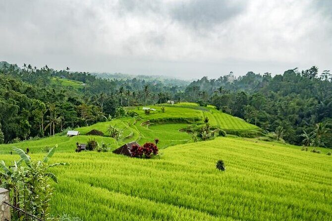 Tanah Lot and North Bali Tour: Scenic Journey - The Guides Make the Day: Examples Like Komang, Ngurah, Gusti, and Dede