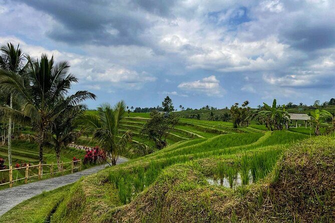 Tanah Lot - Ulun Danu Beratan Temple - Scenic Countryside Tour - A Ubud Countryside Day That Feels Like Four Different Bali’s
