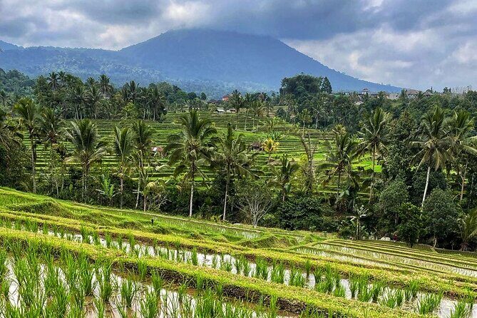 Tanah Lot - Ulun Danu Beratan Temple - Scenic Countryside Tour - Getting There Comfortably: Pickup, AC, and a Private Ride