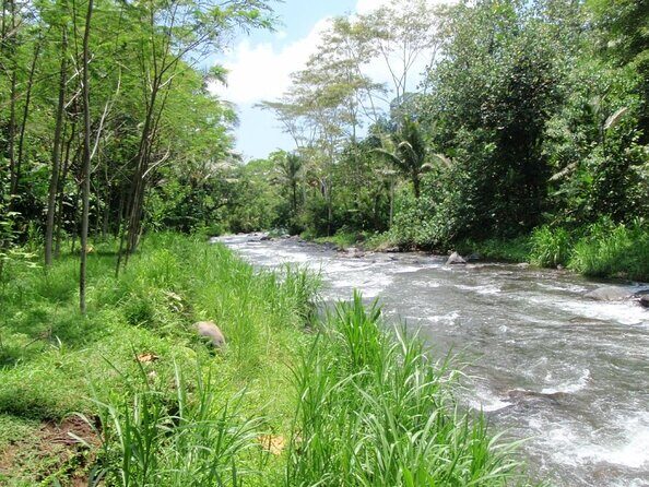 Telaga Waja River White-Water Rafting with Buffet Lunch - Telaga Waja Rapids: the kind of Bali adventure you feel