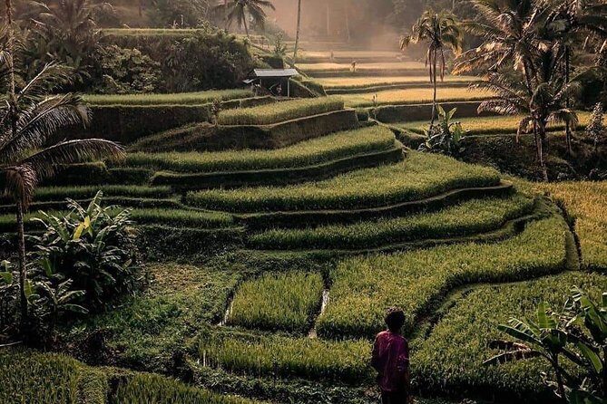 The Gates of Heavan - Ubud Jungle Swing & Waterfall Tour - What’s included vs not included (so you don’t get surprised)