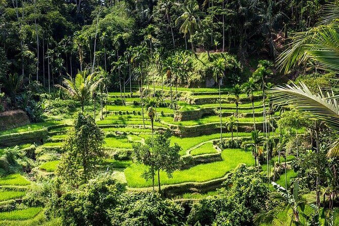 Top Ubud Attractions: Private Full-Day Guided Tour - Stop 1: Barong & Kris Dance and why the show matters
