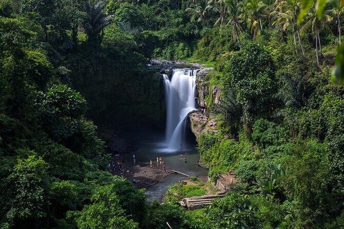 Top Ubud Attractions: Private Full-Day Guided Tour - Stop 2: Mas Carving Center (Mas Village) for real workshop energy