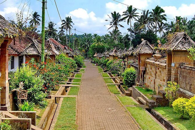 Trunyan Cemetery, Hot Spring, Penglipuran Village, and Waterfall Tour - Stop 1: Trunyan Cemetery and the Taru Menyan Tree ritual