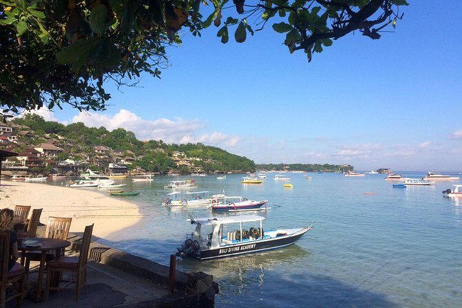 Try Diving in Nusa Lembongan - Penida. For beginners (with 2 ocean dives) - The underwater areas you may visit (and what that means for sightings)