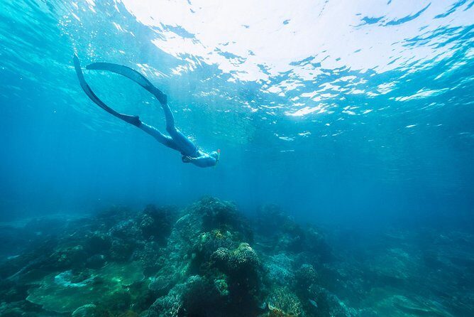Try Freediving on Nusa Penida - Underwater photography: a nice bonus, if you manage your expectations