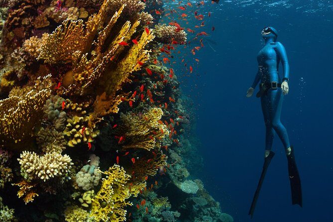 Try Freediving on Nusa Penida - Equipment and what you should bring