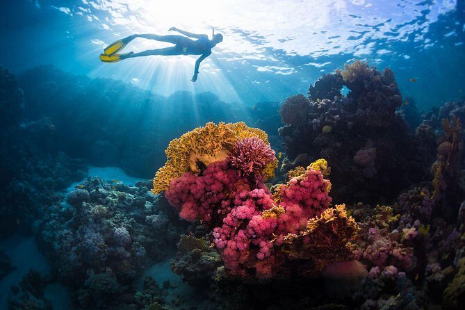 Try Freediving on Nusa Penida - The instructor factor: when calm teaching changes everything