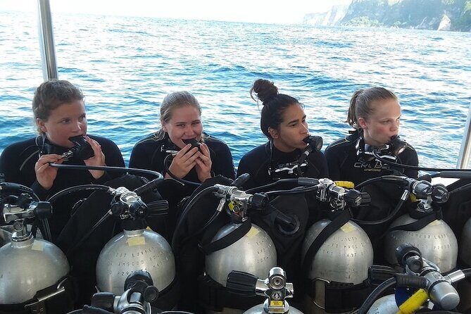 Try Scuba Diving for Beginners with manta rays (Non - Certified) - Key highlights (what to remember before you go)