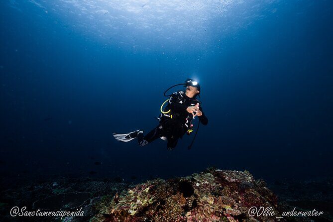 Try Scuba Diving for Beginners with manta rays (Non - Certified) - One coach-fit caution: how to protect your first underwater day