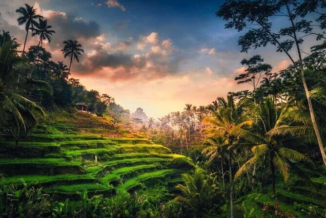 Ubud 1 Day Tour (Private & All-Inclusive) - Tegenungan Waterfall: where the day starts with real drama