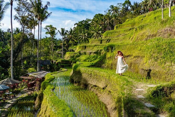 Ubud All-Inclusive Tour with Swing and Lunch - Quick Takes: What Makes This Ubud Tour Work So Well