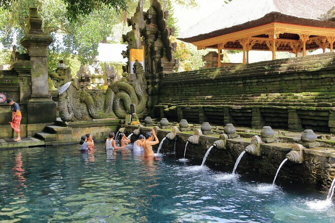 Ubud All-Inclusive Tour with Swing and Lunch - A Smooth Ubud Day: Private Driver, Air-Conditioned Comfort, and a Real Plan