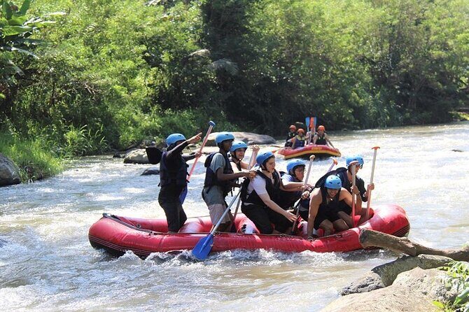 Ubud ATV Quad Bike with Ayung River Rafting Experience - Price and value: why $31 can work (if you’re set on both activities)