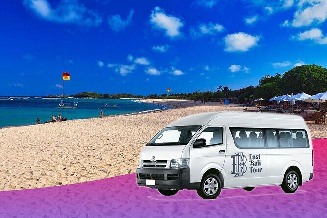 Ubud Bali Driver ( Bali Custom Tour ) - Ubud private car-and-driver day: what you really get