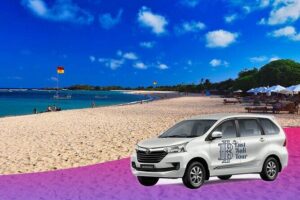 Ubud Bali Driver ( Bali Custom Tour ) - Price and value: why $33 per person can make sense