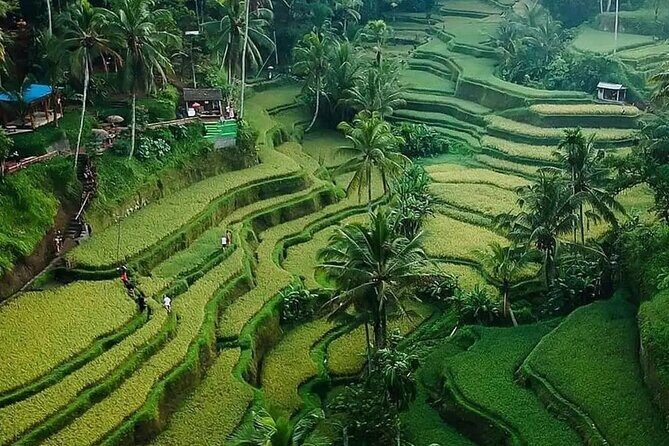 Ubud Bali Driver ( Bali Custom Tour ) - Besakih Mother Temple and Tirta Empul: big holy sites, different vibes