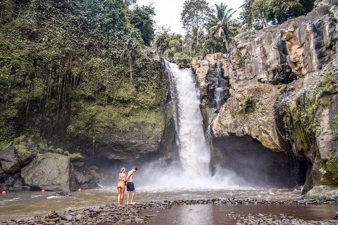 Ubud City Tour I: Monkey Forest, Ubud Palace, Art Market, and Waterfall - Who should book this (and who should skip it)