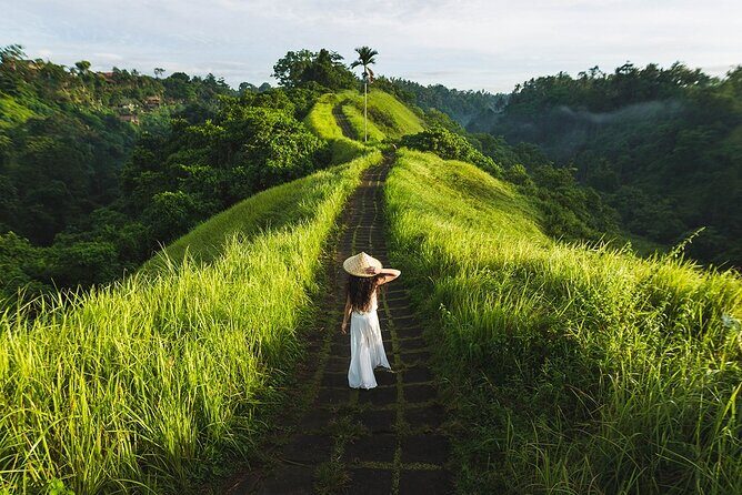 Ubud Countryside Tour: Campuhan Ridge Walk and Rice Terrace - Key highlights you’ll feel on the day