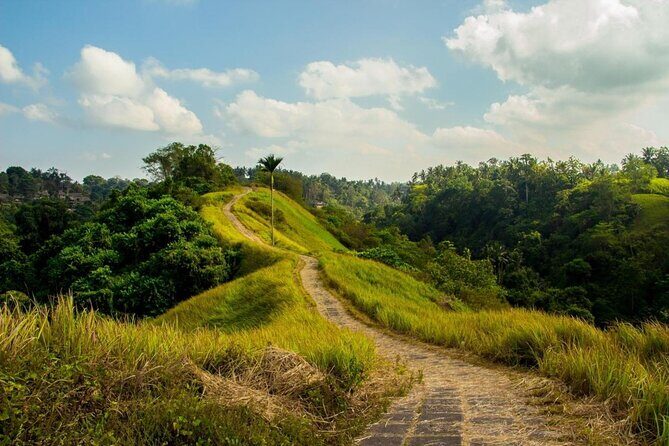 Ubud Countryside Tour: Campuhan Ridge Walk and Rice Terrace - Why Ubud Countryside Feels Different Than the Coast